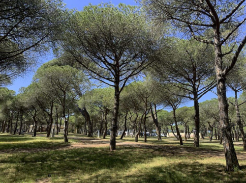 camping nature france emplacement